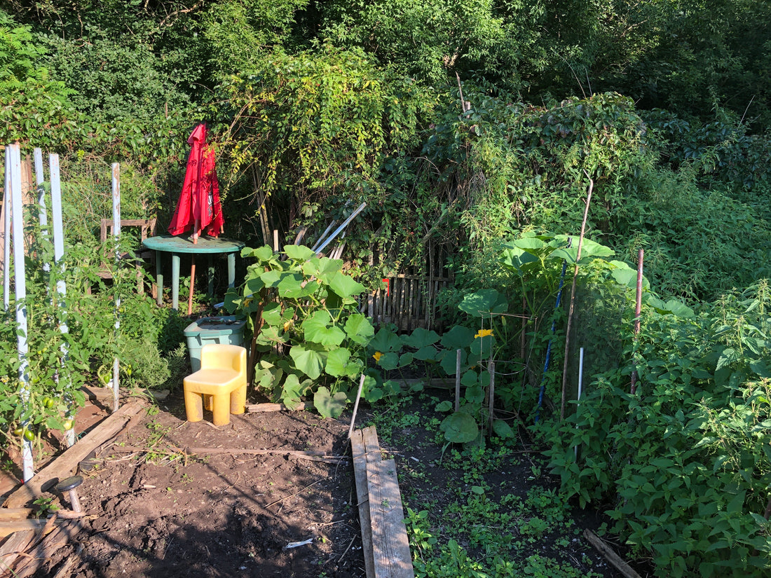 Tea Garden Jewellery and My Tea Garden