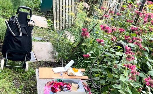 Drawing at the Allotment
