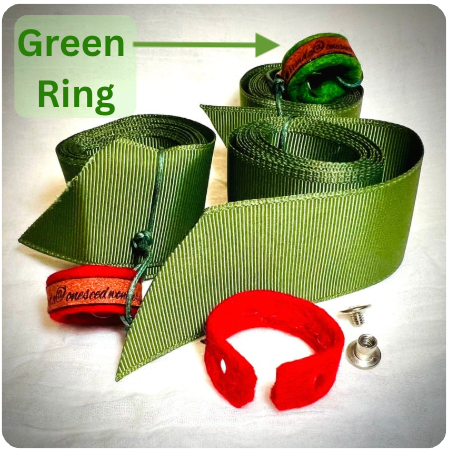 ROSE MERRY POP-IN ACCESSORIES - Ring & Ribbon, Choker/Belt/Hat Band One Seed Wonders